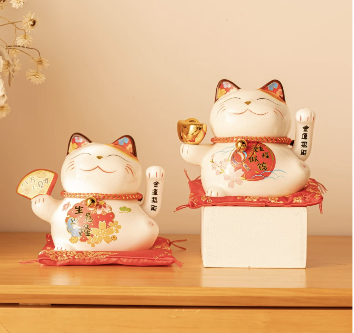huong-dan-cach-chon-meo-than-tai